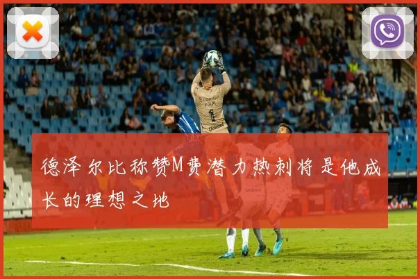 德泽尔比称赞M费潜力热刺将是他成长的理想之地