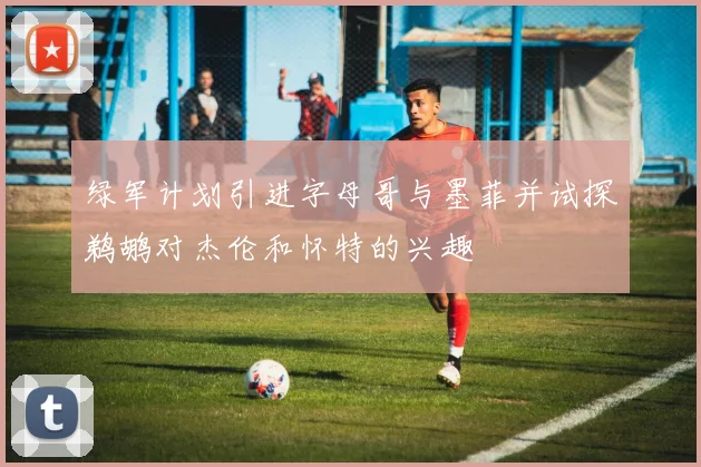 绿军计划引进字母哥与墨菲并试探鹈鹕对杰伦和怀特的兴趣